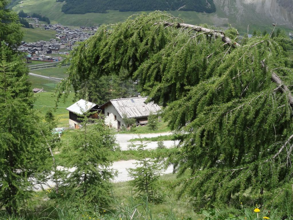Hotel Marzia Livigno Exteriér fotografie